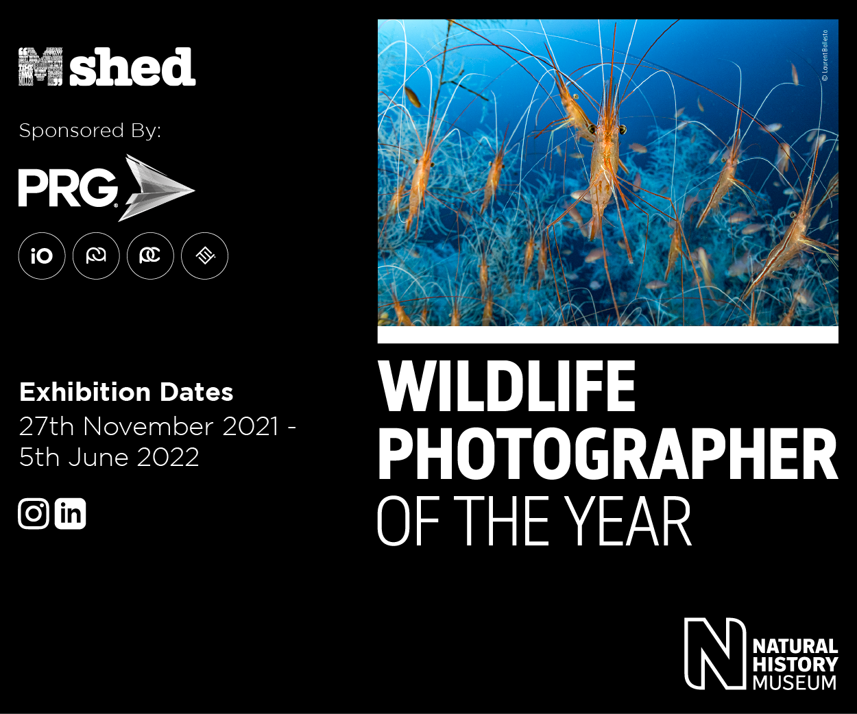 Wildlife Photographer of the Year 