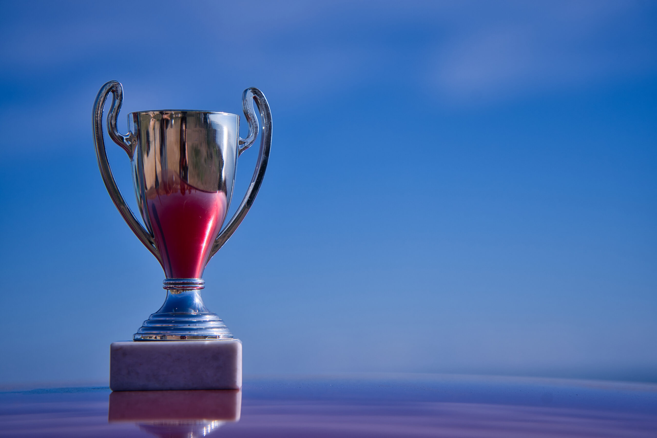 Trophy for the victory of the winner.