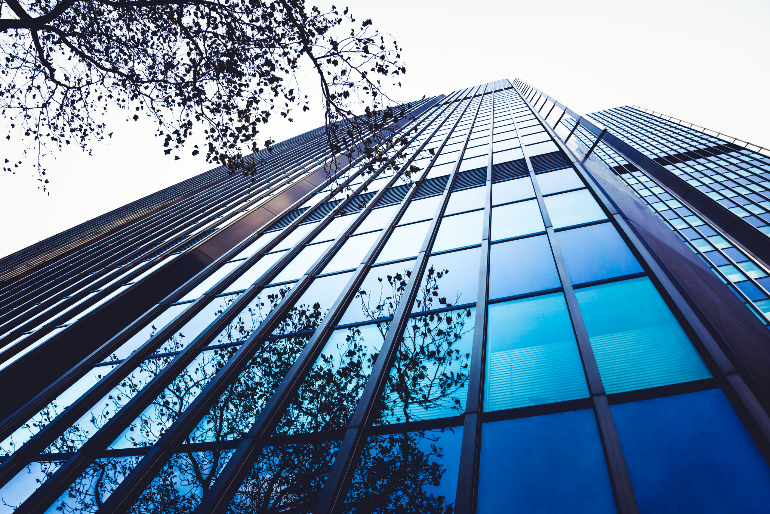 Exterior of building. Modern skyscrapers in business district